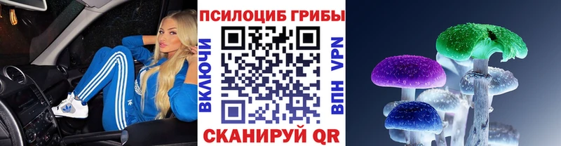 Псилоцибиновые грибы Magic Shrooms купить закладку Судак