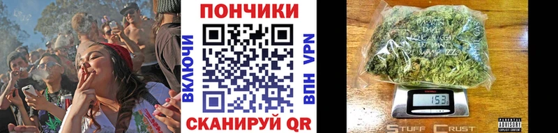 Бошки Шишки семена  ссылка на мегу зеркало  Судак 